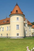 Rače Castle
